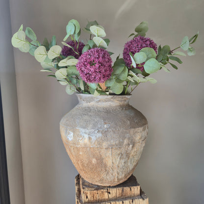 Zijdetak Allium