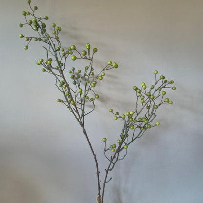Zijdetak groene bes